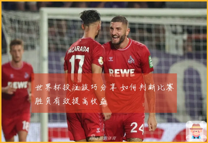世界杯投注技巧分享 如何判断比赛胜负有效提高收益