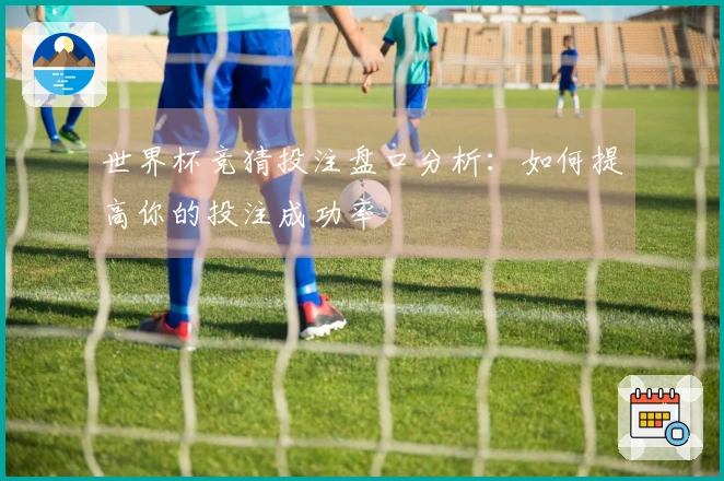 世界杯竞猜投注盘口分析：如何提高你的投注成功率