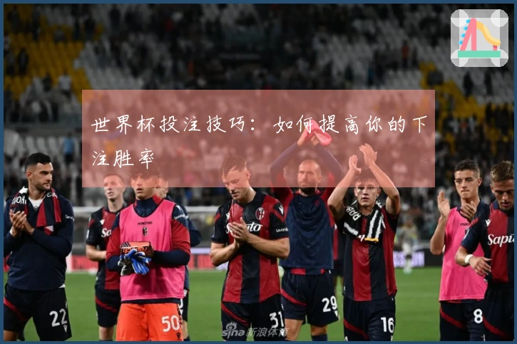 世界杯投注技巧：如何提高你的下注胜率